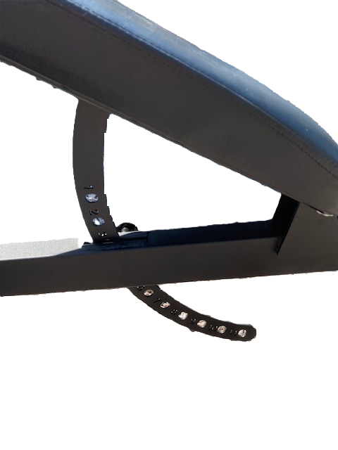 Silverback Adjustable Incline FID Bench – silverbackgymsupplies